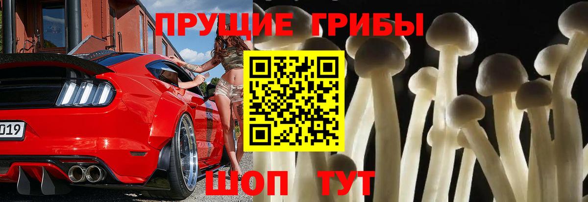 Псилоцибиновые грибы мухоморы Новоуральск